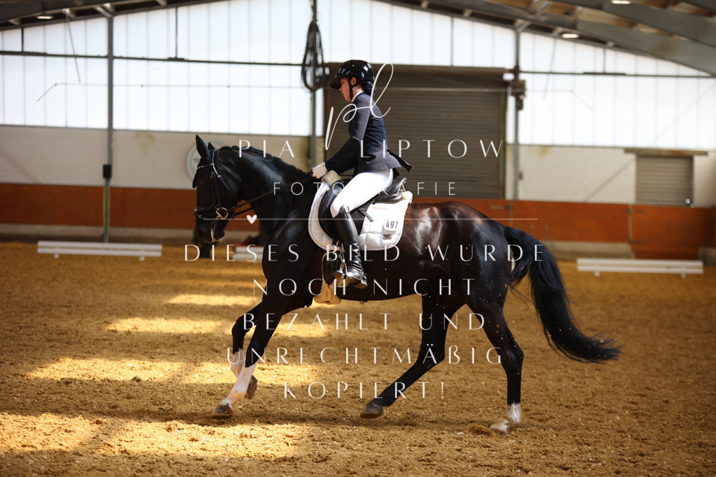 IMGT5094 | pl-fotografie