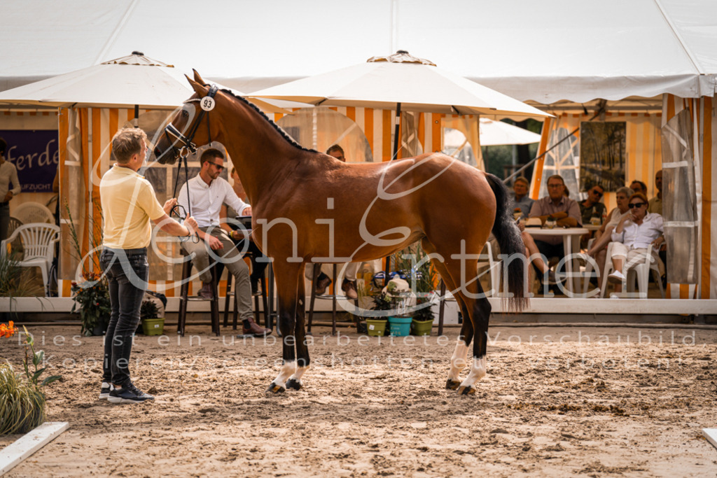 6.Fr00113 | Leoni Ertmer Photography - Realisiert mit Pictrs.com