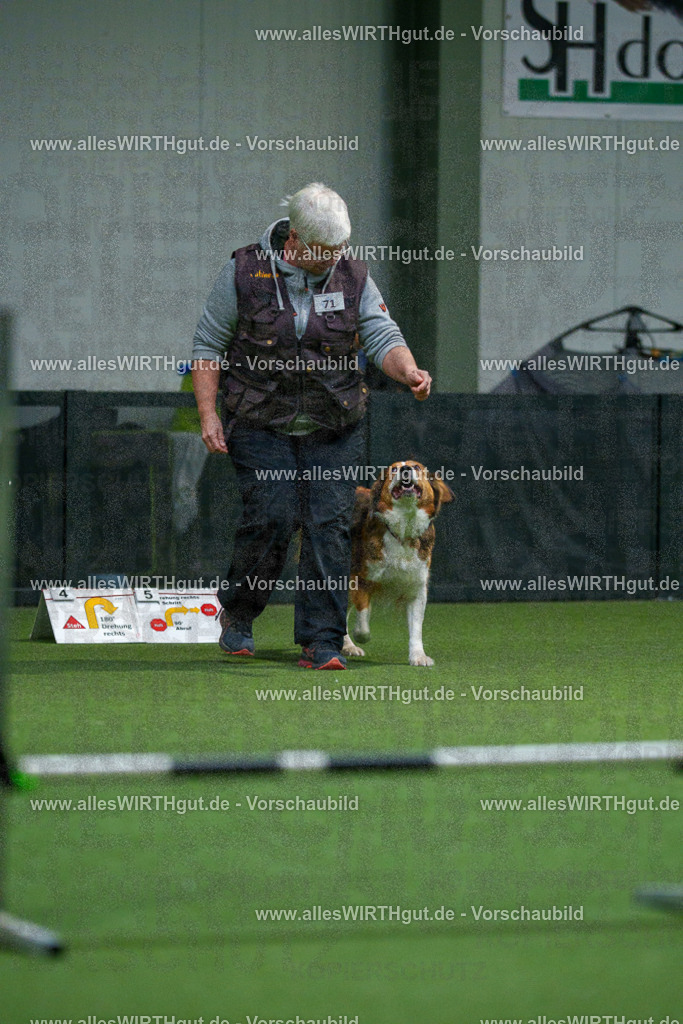 7R504050 | Professionelle Tierfotografie in Mönchengladbach von Daniel Wirth (allesWIRTHgut). Liebevolle & natürliche Bilder von Hunden & Katzen für unvergessliche Erinnerungen.