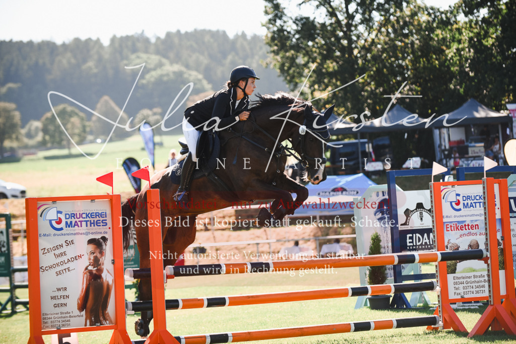 DSC_2511 | Pferde- und Turnierfotografie in Westsachsen. Pferdeportraits, Auftragszeichnungen und intuitive Kunst.