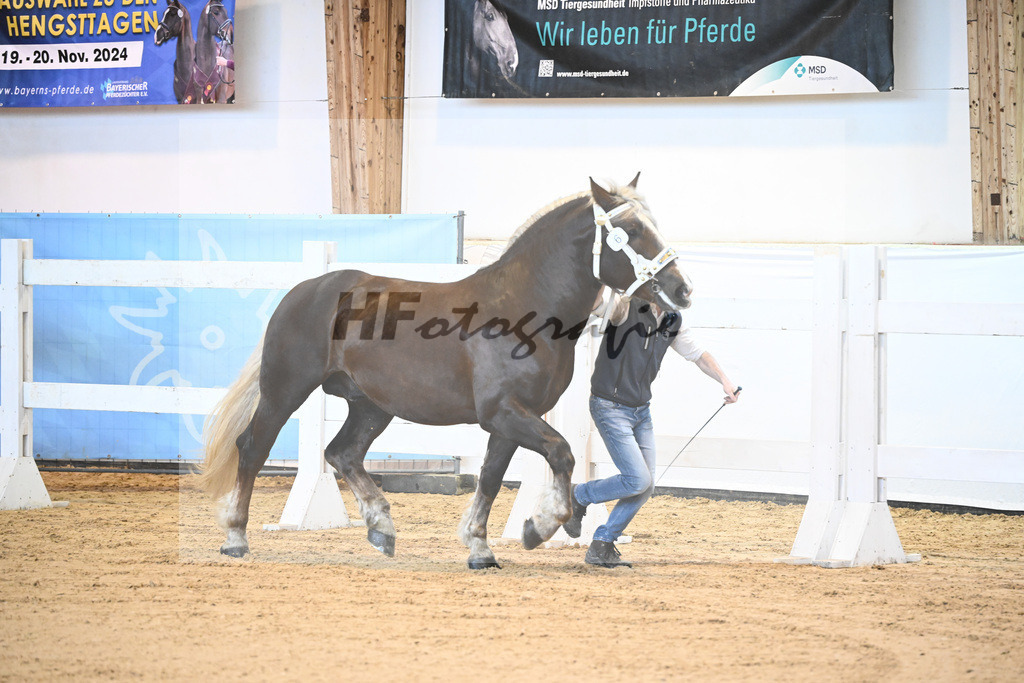 Kat-Nr. 6 v. Versailles_Poenn_6240049 | hf-fotografie - Realisiert mit Pictrs.com