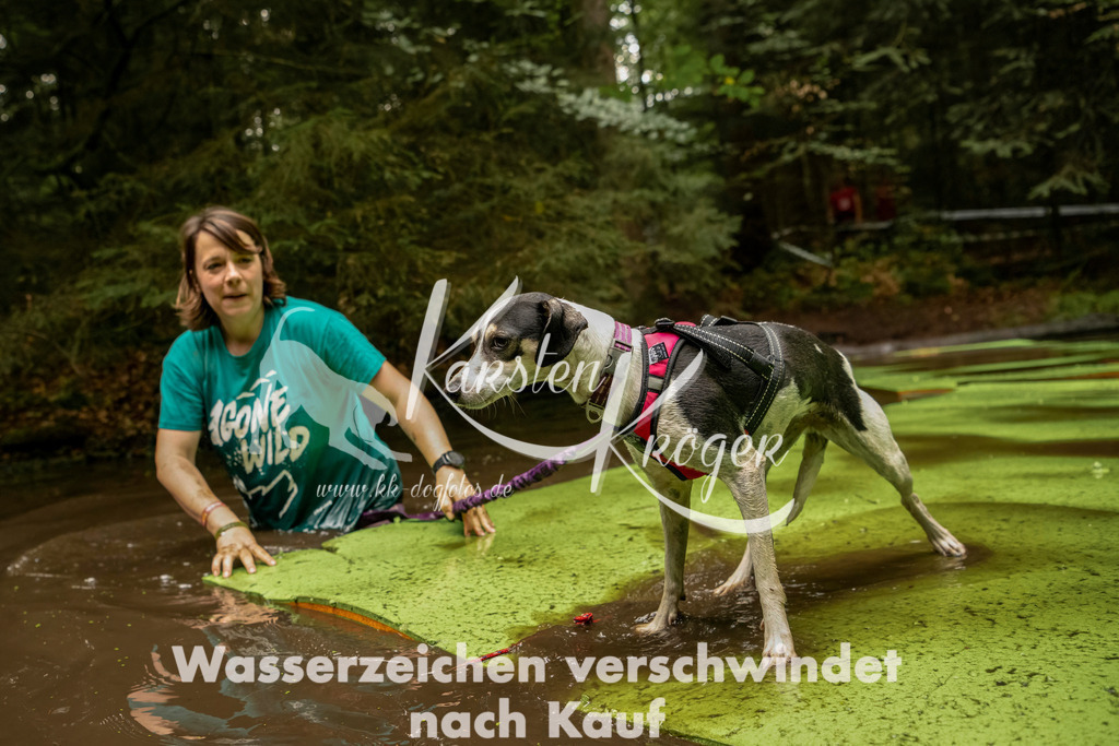 1210_ZZ92899-Bearbeitet | kk-dogfotos