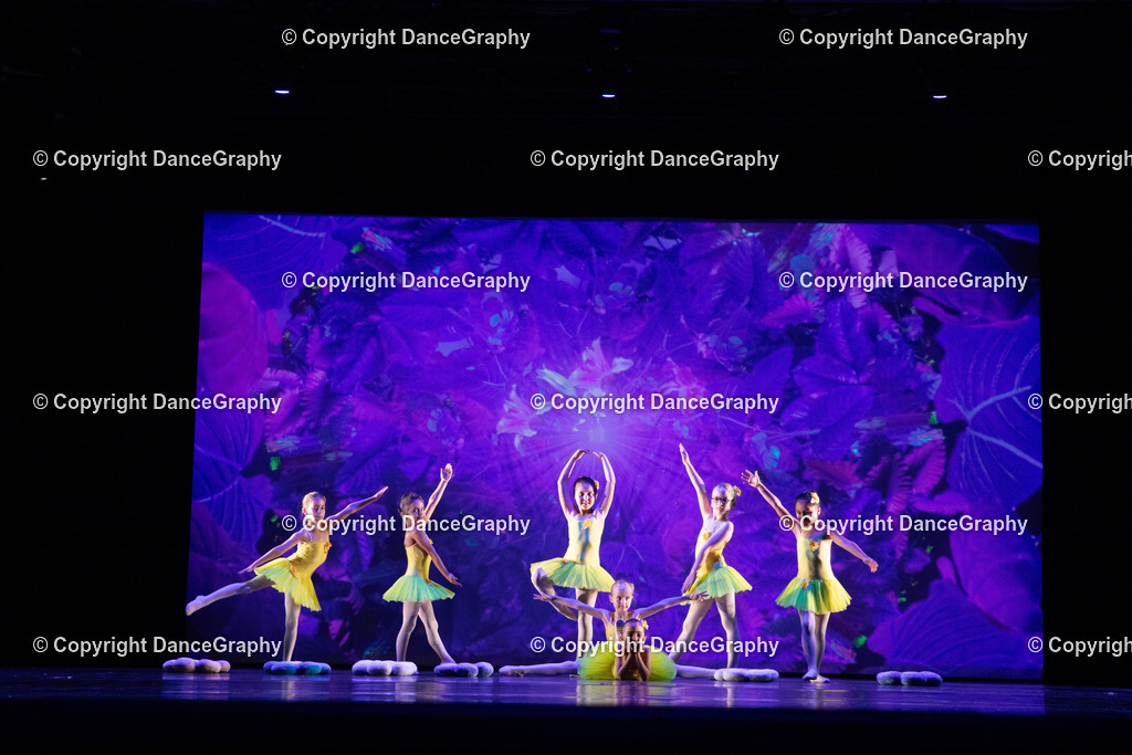 GPHY6253 | DanceGraphy - Realisiert mit Pictrs.com