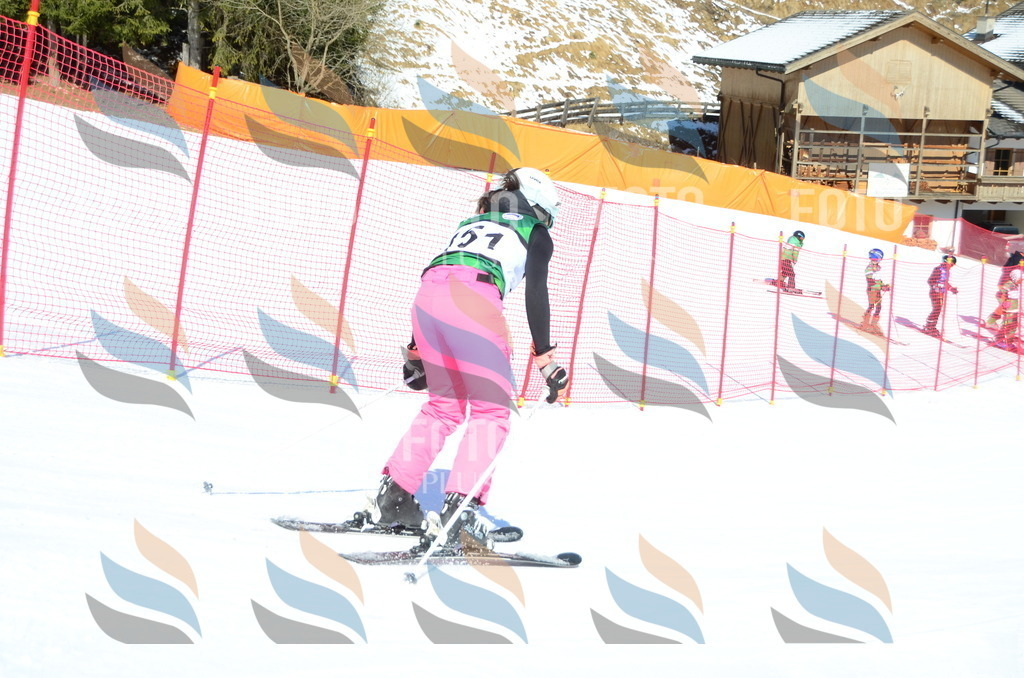 C6137 | holidayphoto