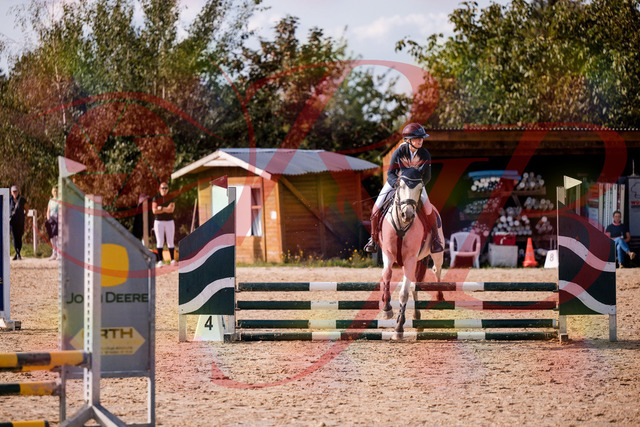 2026_10_03_Siefer-Hof_154520_Z81_63680434 | Professionelle Reitsport-, Turnier- und Eventfotografie von Robert Broda. Galerien mit ausgewählten und bearbeiteten Bildern direkt online ansehen und bestellen.