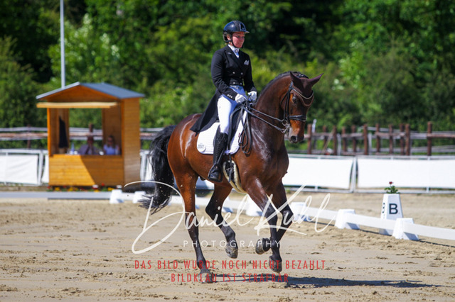 DKP42347 | Turniersportfotografie; Pferdefotografie; Dressurfotografie