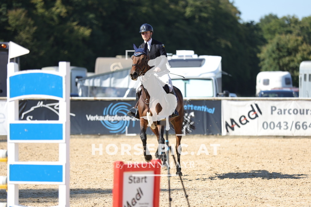 0P6A9981 | Willkommen bei Brunnmayr - Design & Fotografie – Ihrem Spezialisten für Reitturniere und Pferdeveranstaltungen in Oberösterreich, Salzburg und Bayern! Seit über 17 Jahren sind wir leidenschaftlich dabei.