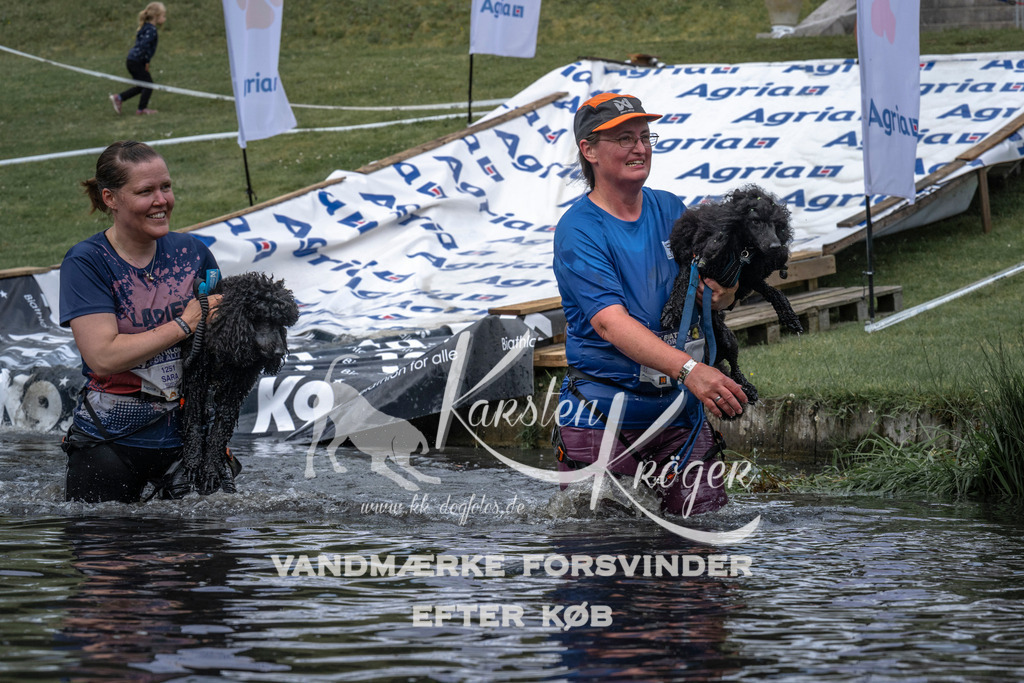 1145_ZZ93792 | kk-dogfotos