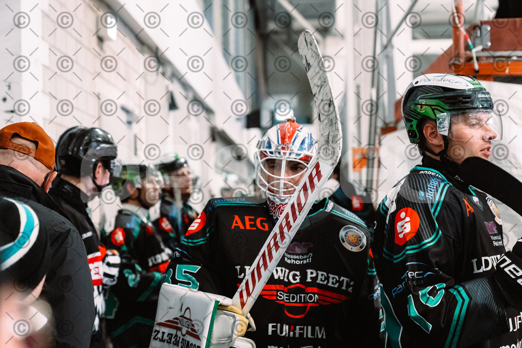Alligators_vs_Fuessen_26.10.2025-095 | Höchstadt Alligators Fotogalerie: Eishockey-Action aus Franken. Professionelle Spielfotos, Portraits & Stadionbilder zum Download. Jetzt entdecken! - Realisiert mit Pictrs.com