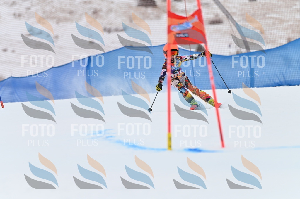 BGV_9604 | holidayphoto