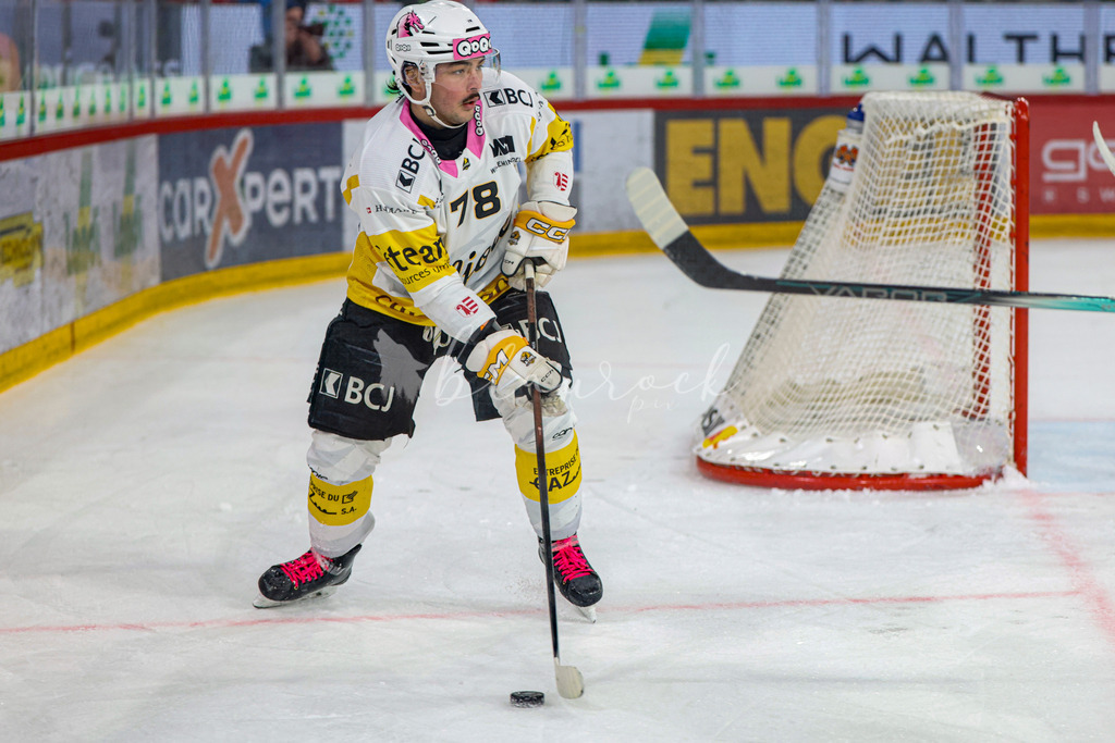 EHCB vs HCA 20260127_wb-9788 | Sportbilder, Sportfotograf, Hochzeits- und Eventfotografin, Flugshows, Portraits und Tiershooting, Aviation, Downhill, Nationalleague, Swissleague, International