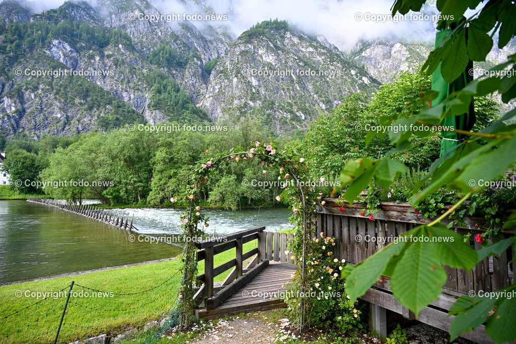 Steegwirt_ Fritz Grampelhuber_ 08.06.2024-5 | 08.06.2024, Bad Goisern, AUT, Steegwirt, im Bild Steegwirt, Wirtshaus seit 450 Jahren - 1571