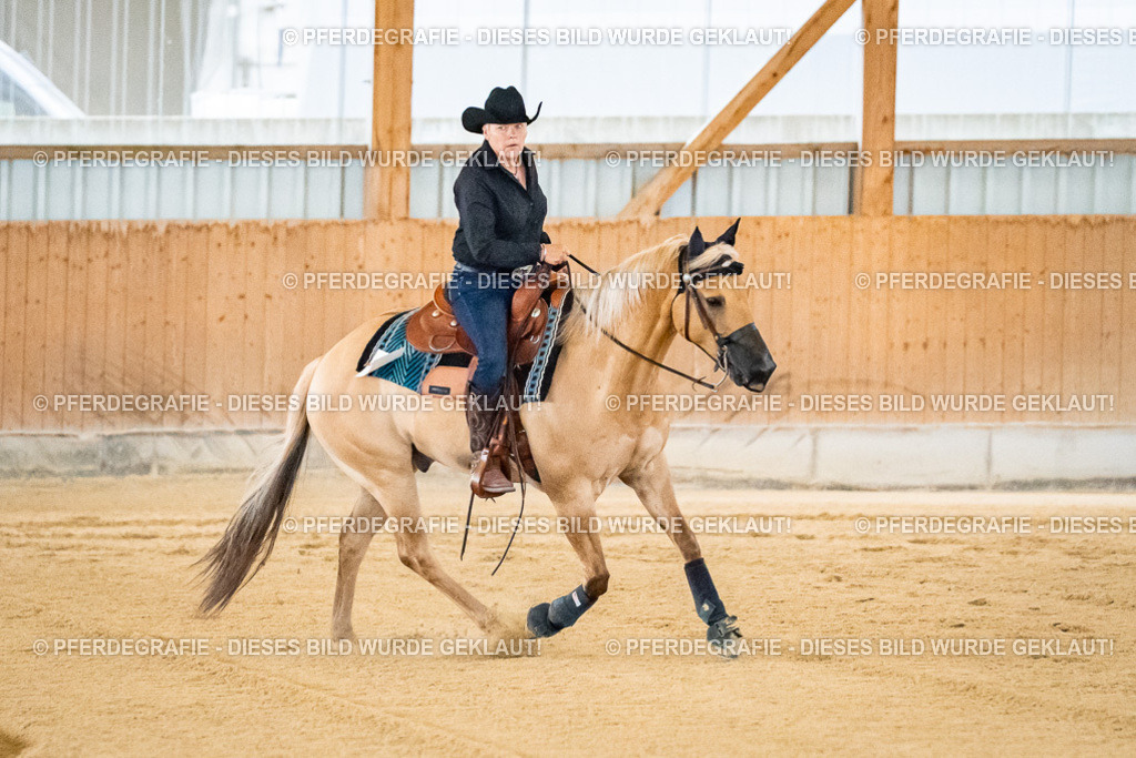 DSC08456 | Pferdegrafie