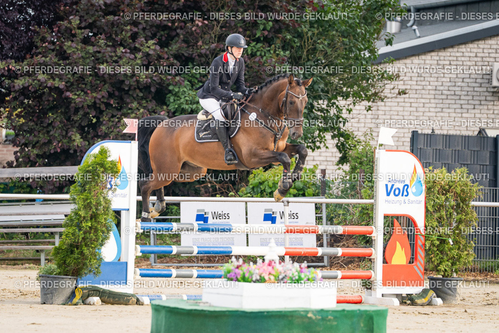 DSC07851 | Pferdegrafie