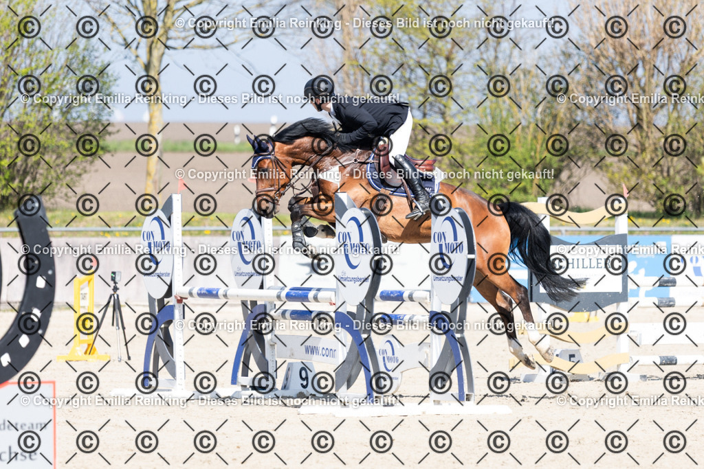 CL5A5401 | Emilia Reinking Fotografie - Realisiert mit Pictrs.com