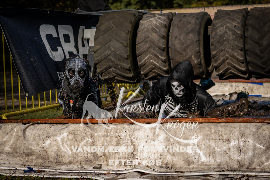 1347_ZZ93030 | kk-dogfotos