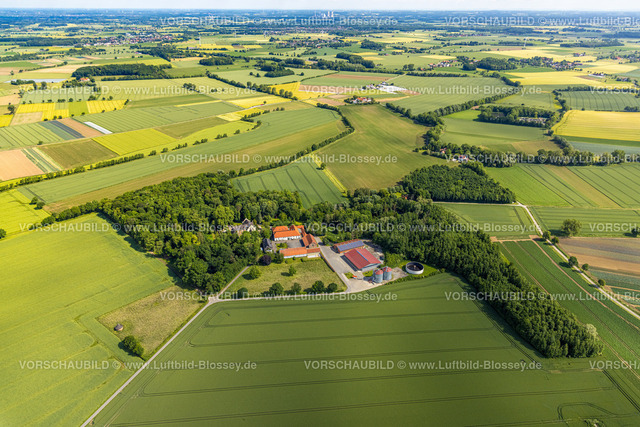 Werl220600629 | Luftbild, Haus Lohe inmitten von Wiesen und Feldern, Westönnen, Werl, Soester Boerde, Nordrhein-Westfalen, Deutschland