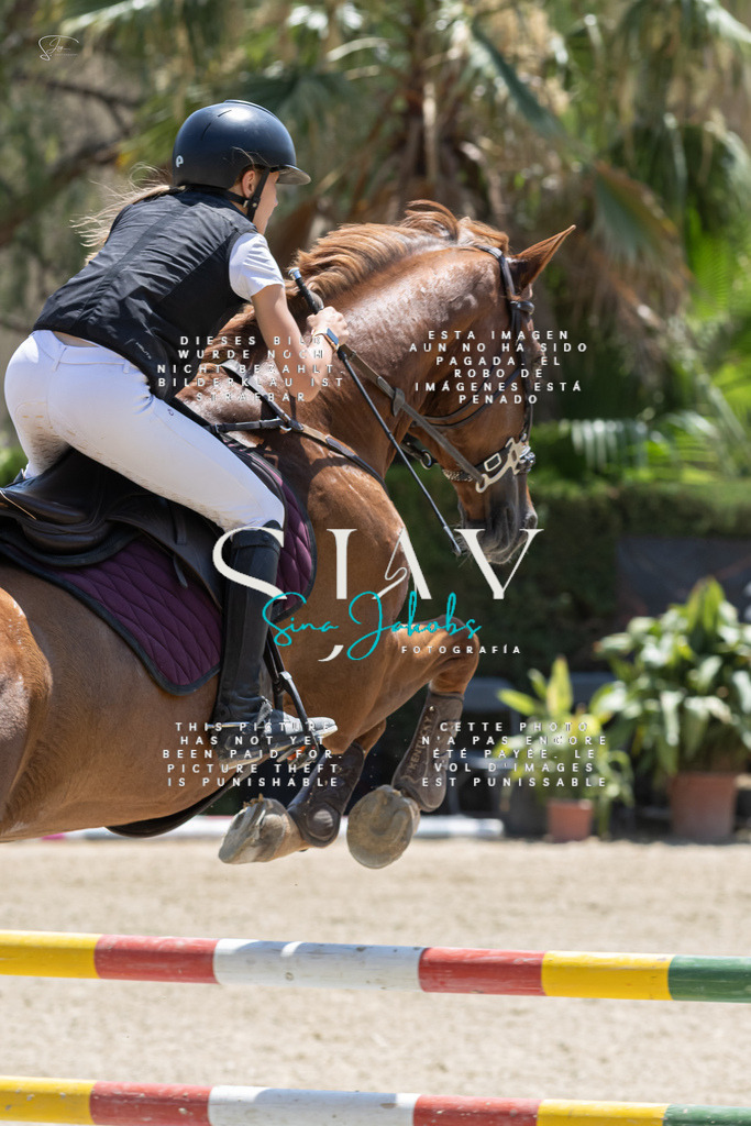 IMG_7757 | s-jay-photography - Realisiert mit Pictrs.com