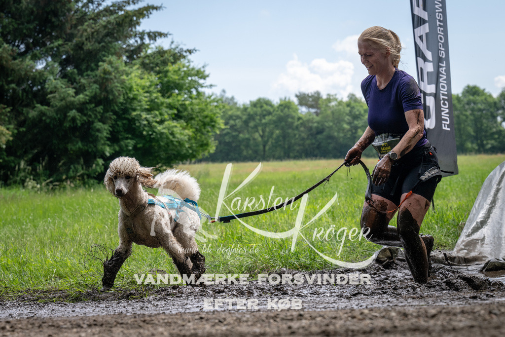 1102_ZZ91190 | kk-dogfotos