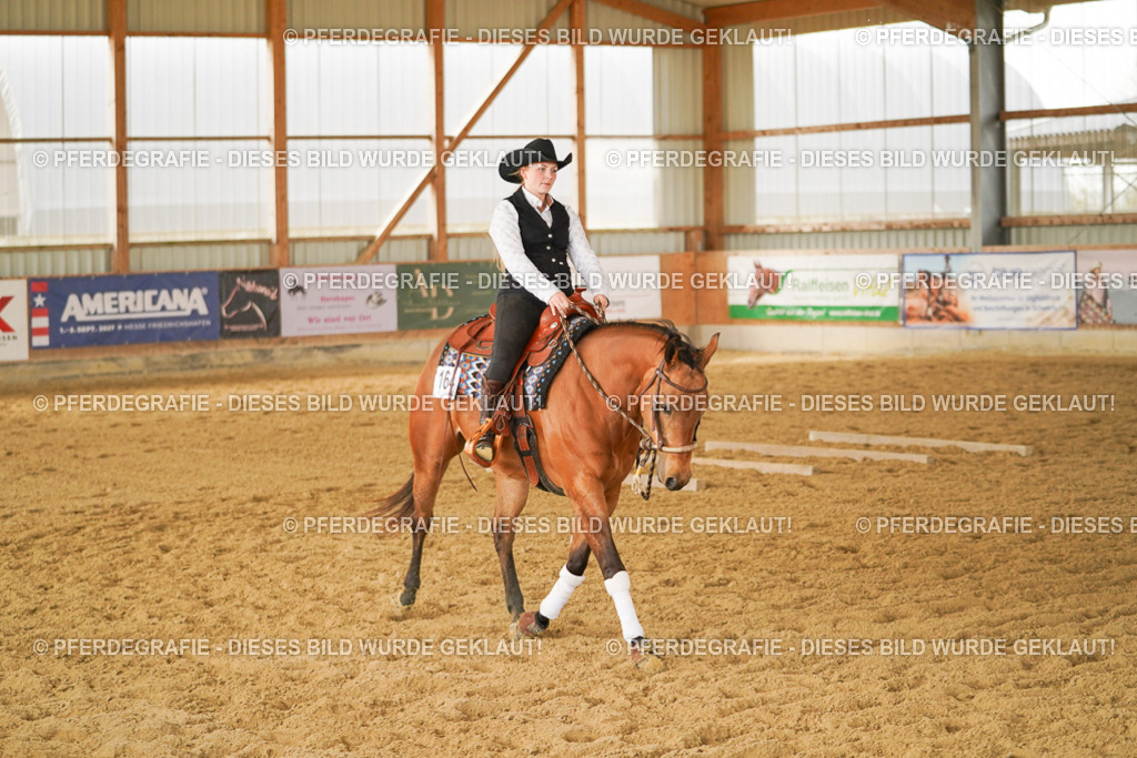 DSC04952 | Pferdegrafie