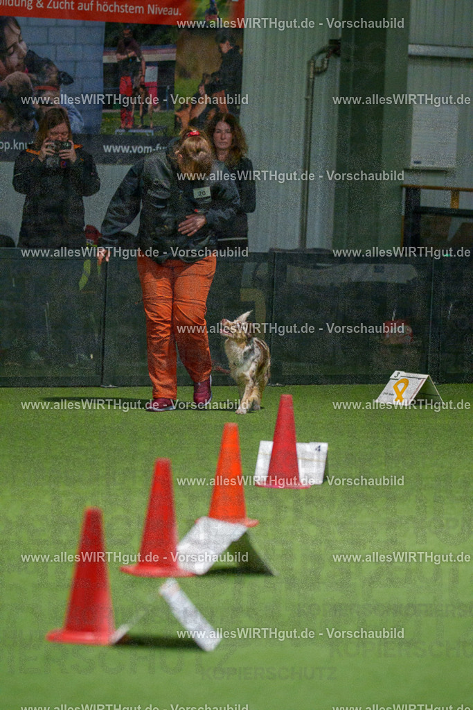 7R504593 | Professionelle Tierfotografie in Mönchengladbach von Daniel Wirth (allesWIRTHgut). Liebevolle & natürliche Bilder von Hunden & Katzen für unvergessliche Erinnerungen.