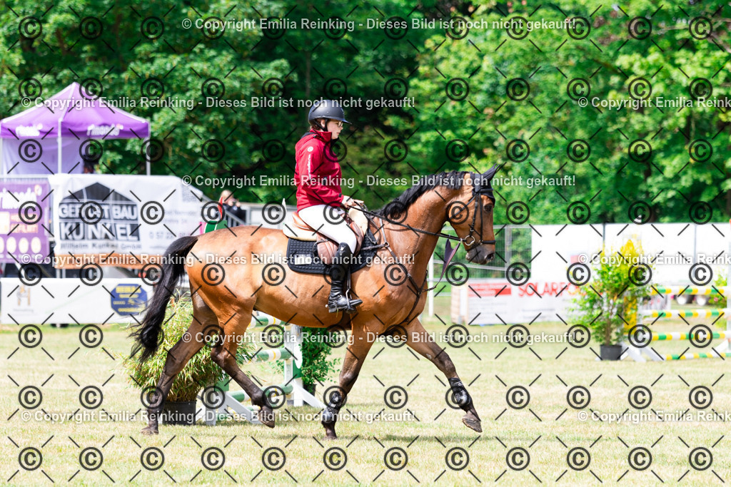 CL5A6003 | Emilia Reinking Fotografie - Realisiert mit Pictrs.com