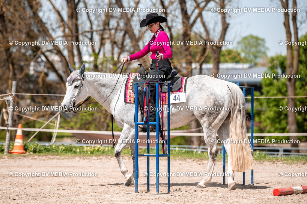 Balingen Tag 4-560 | dv-media-shop - Realisiert mit Pictrs.com