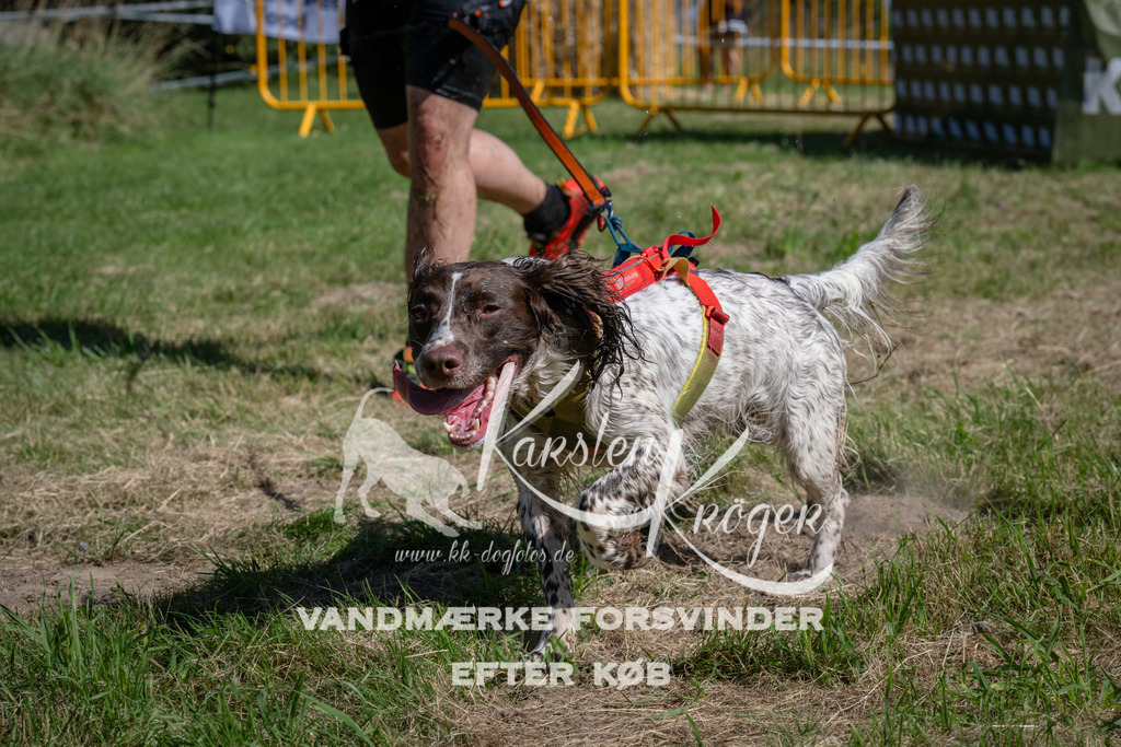 1109_ZZ90836 | kk-dogfotos