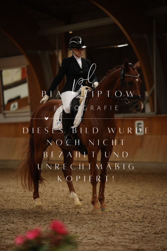 IMGM9123 | pl-fotografie