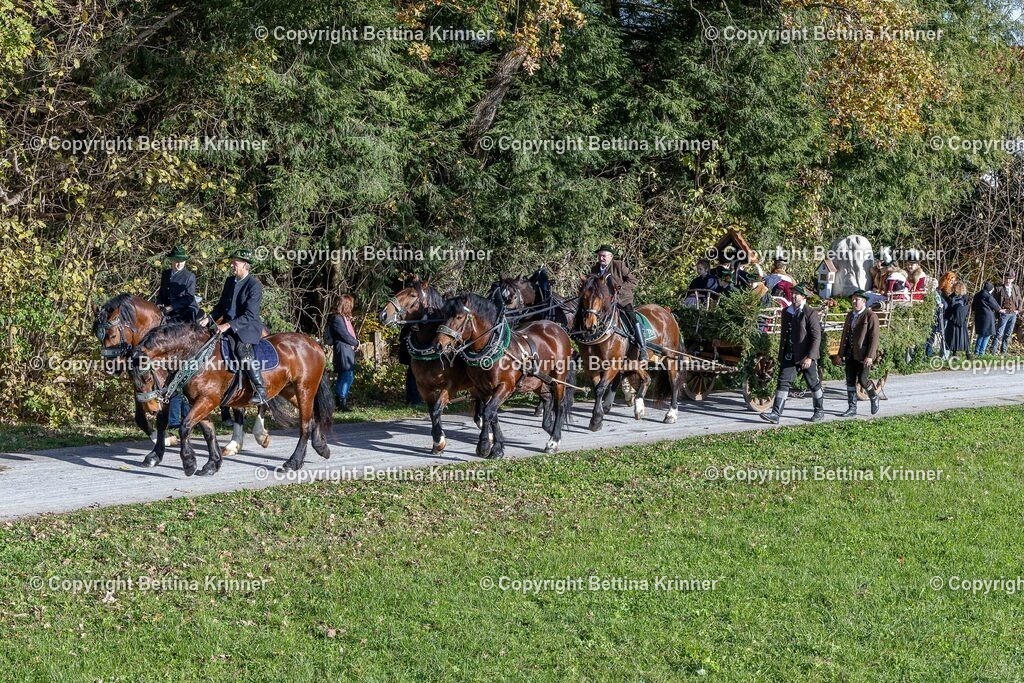LBT24-757 | foto-bettina-krinner - Realisiert mit Pictrs.com