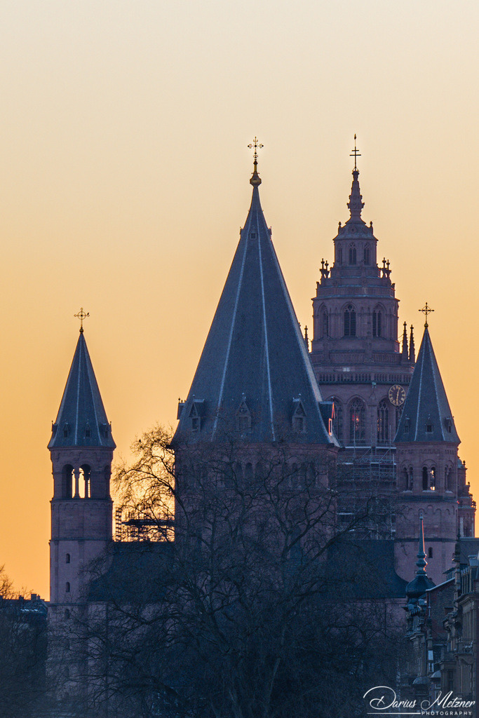 Der Mainzer Dom | Der Mainzer Dom