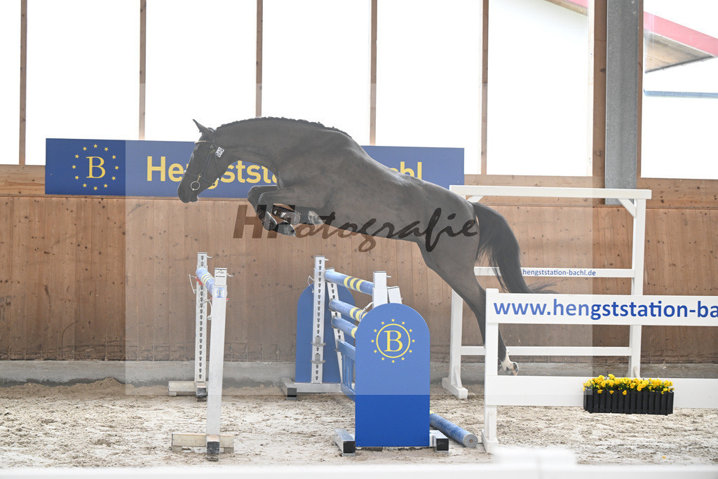 Kat-Nr. 60 Victory TP v. Vigaro_Pachler-Schulte_14260248 | hf-fotografie - Realizzato con Pictrs.com