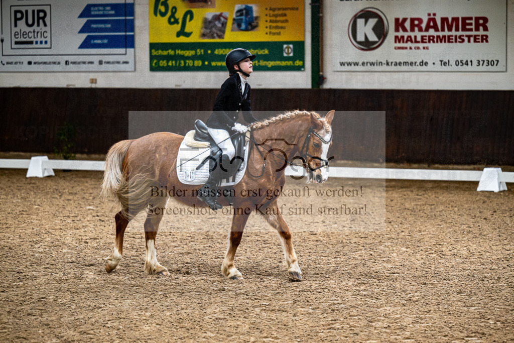 20240310-DOS_9713 | Entdecke hochwertige Reitturnierfotos von Foto Oger. Professionell, emotional und authentisch – jetzt Lieblingsmomente im Shop bestellen.Deutschlandweite Turnierfotografie. - Realisiert mit Pictrs.com