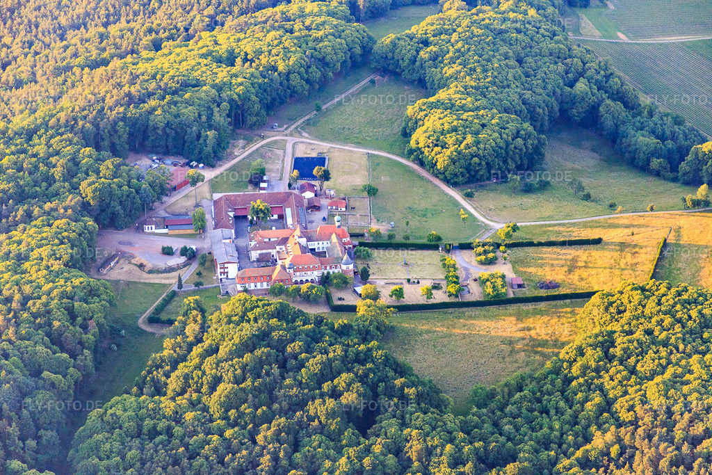 Luftbild: Pferdepension auf dem Kloster Liebfrauenberg in Bad Bergzabern im Bundesland Rheinland-Pfalz in Deutschland. Foto: IMG_080342.jpg vom 05.06.2015 durch Werner Riehm/FLY-FOTO.de