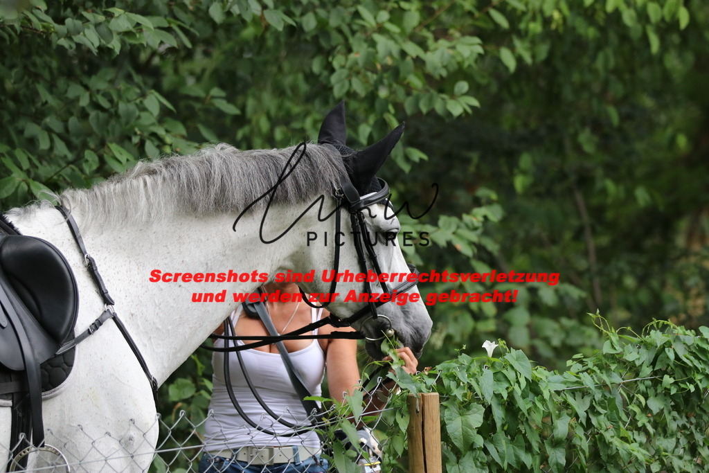 IMG_2726 | lmwpictures - Realisiert mit Pictrs.com