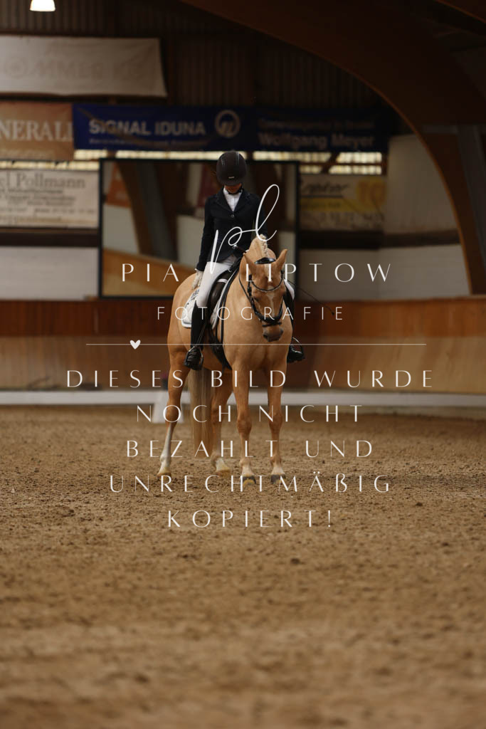 IMGM5239 | pl-fotografie