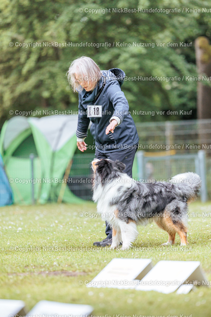 RO-Blumenthal-2026-Nickbest-Hundefotografie-4390 | Dein Hund! Dein Moment! Deine Erinnerungen! Hundefotografie in Bremen Blumenthal. Ich fange die besonderen Momente deines Vierbeiners ein – ob Indoor mit Blitzanlage oder in der freien Natur. Sicher dir dein Moment und dein Termin für eure Erinnerungen.