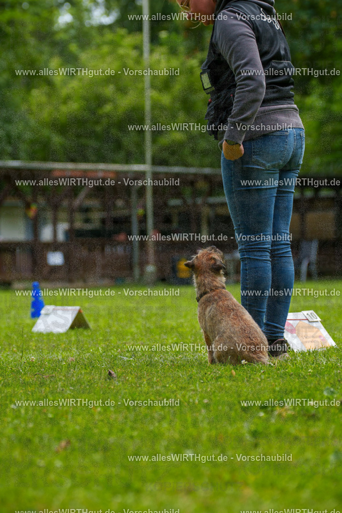@allesWIRTHgut_Tierfotografie - www.allesWIRTHgut.de - 7R501953 | Professionelle Tierfotografie in Mönchengladbach von Daniel Wirth (allesWIRTHgut). Liebevolle & natürliche Bilder von Hunden & Katzen für unvergessliche Erinnerungen.