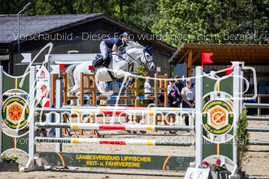 Donop24-L-Spr-024 | MomenTaufnahmen Pferdesportfotos