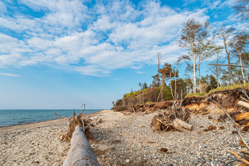 Strand an der Küste der Ostsee bei Graal Müritz | Strand an der Küste der Ostsee bei Graal Müritz.