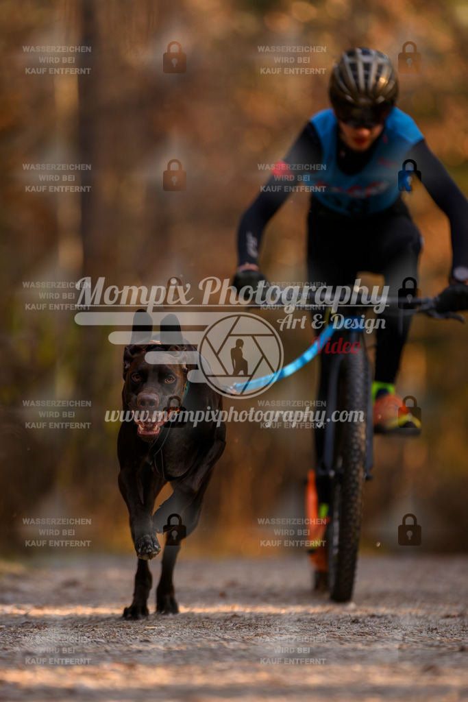 MompixPhotography_DM_AKDM_SO_2025_Scooter-80 | PayLife