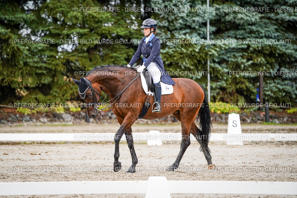 DSC00085 | Pferdegrafie