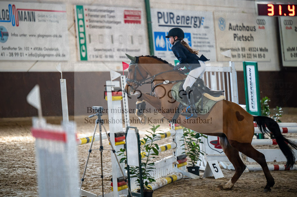 Hallenreittunier Voxtrup 2023 | Entdecke hochwertige Reitturnierfotos von Foto Oger. Professionell, emotional und authentisch – jetzt Lieblingsmomente im Shop bestellen.Deutschlandweite Turnierfotografie. - Realisiert mit Pictrs.com