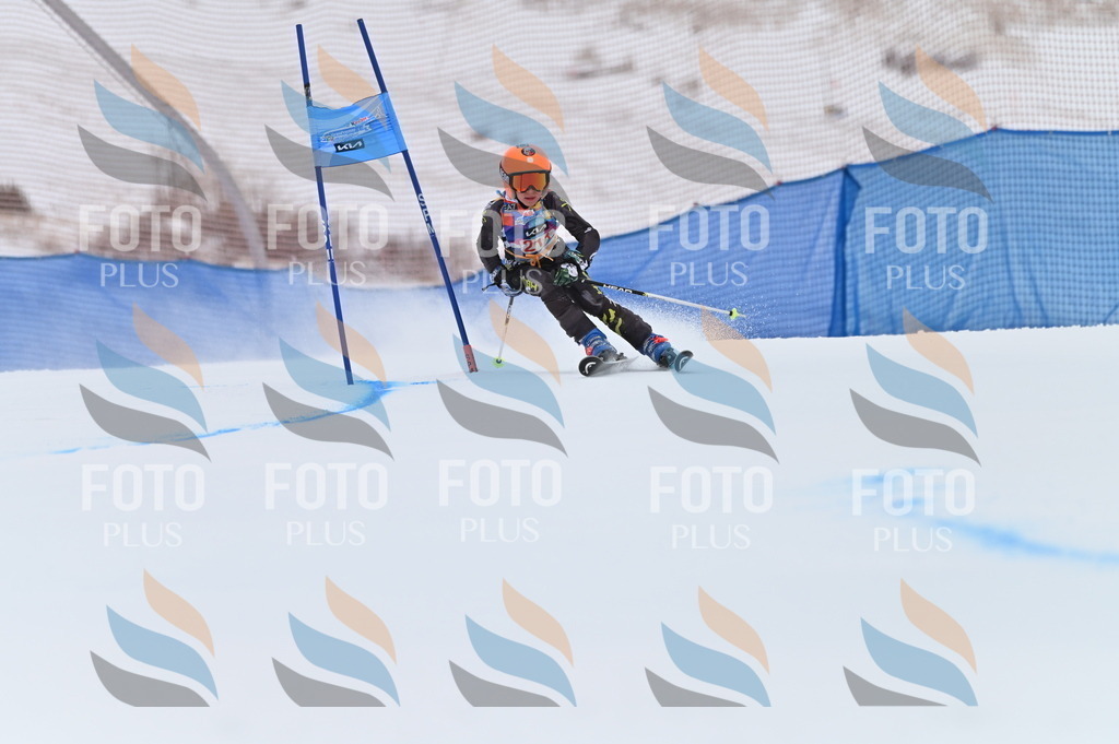 BGV_2447 | holidayphoto