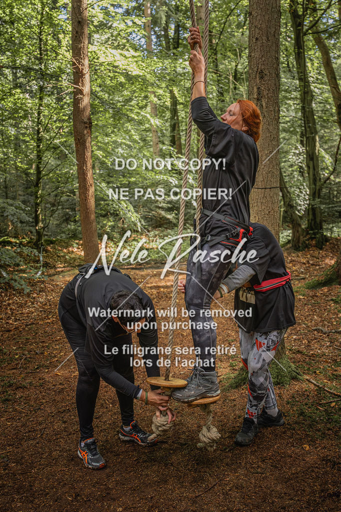 nelerasche_So1230-Ende_204 | nelerasche