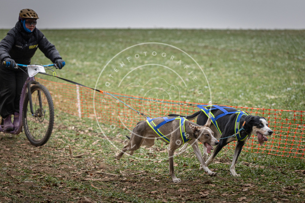 Pfotenfotografie_DV3A2145 | Hundefotografie, Tierfotograf, Pfotenfotografie, Fotoshooting Hund, Hunde Portrait, Hundesport, Hundeportraits, Heideshooting, Hunde, Sportfotograf, Hundefotograf, Turnierhundsport, THS,  - Realisiert mit Pictrs.com