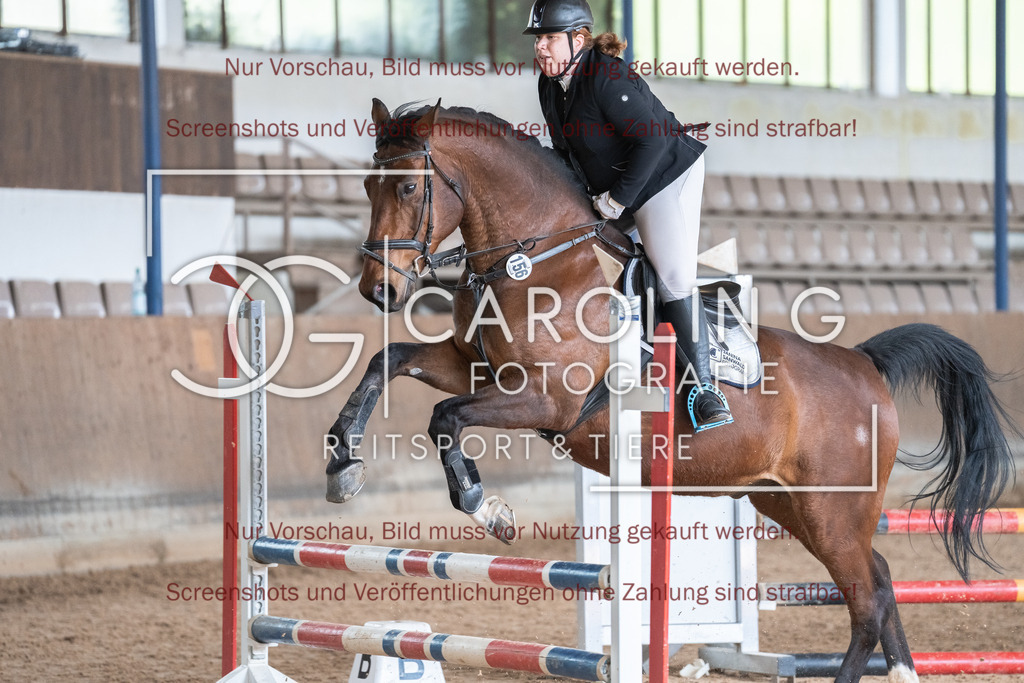 DSC00993 | Reitturnier_Göppingen_April_2026, carmen_seifert, casparus_3