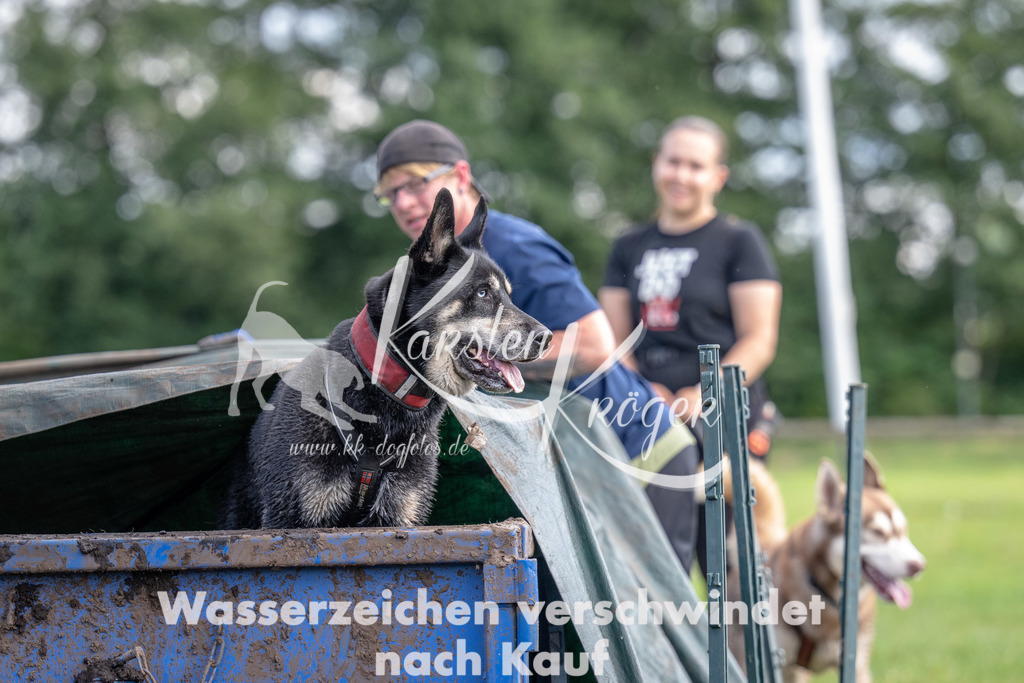 1240_ZZ90136 | kk-dogfotos