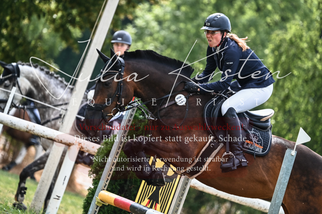 DSC_8258 | Pferde- und Turnierfotografie in Westsachsen. Pferdeportraits, Auftragszeichnungen und intuitive Kunst.