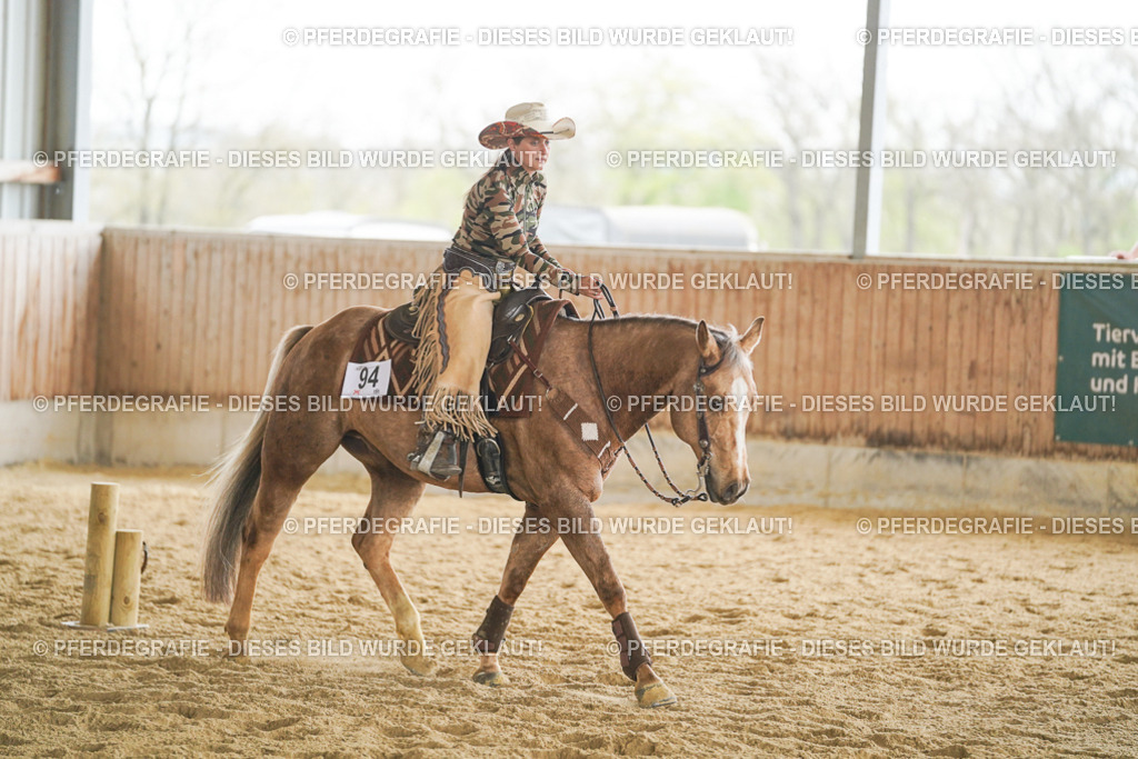 DSC03320 | Pferdegrafie